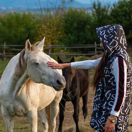 Къща За Гости Рая Πανσιόν *